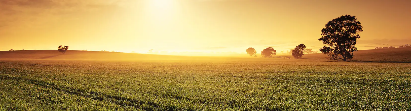 banner do portalu o maszynach rolniczych marki New Holland